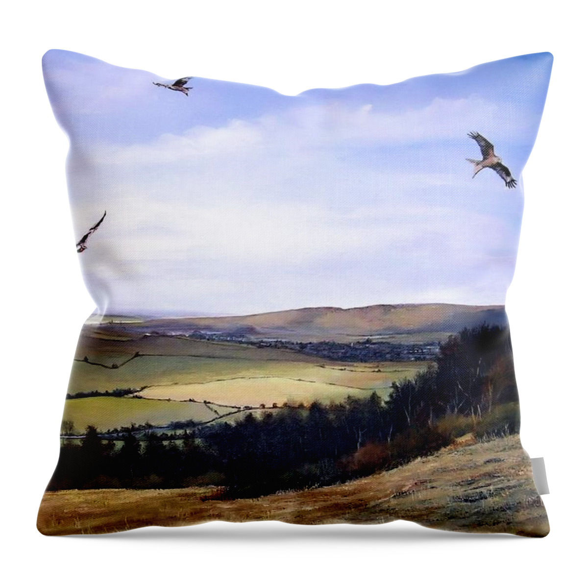  Red Kites Throw Pillow featuring the painting Red Kites at Coombe Hill by Barry BLAKE