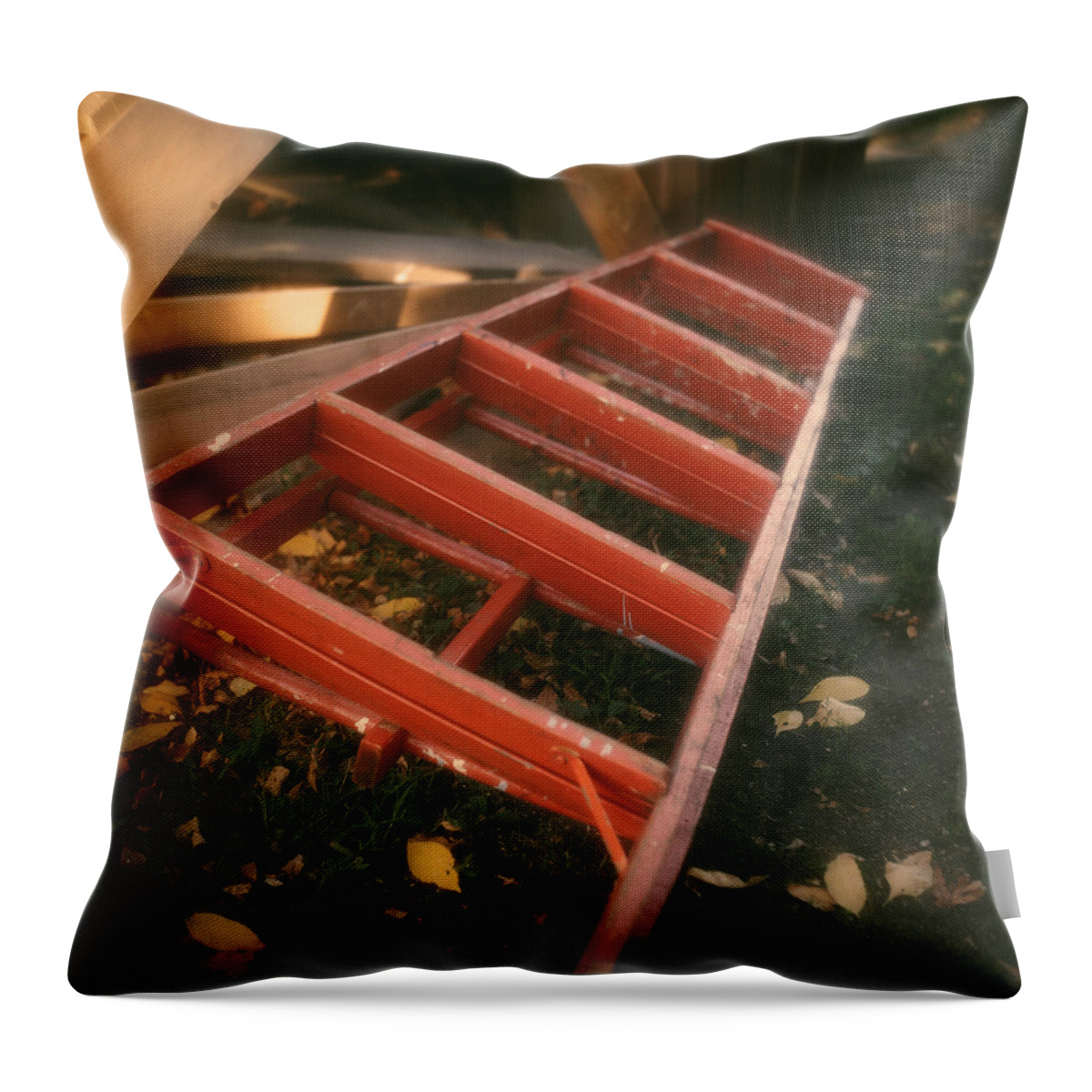 Ladder Throw Pillow featuring the photograph Red Ladder by Lonnie Paulson
