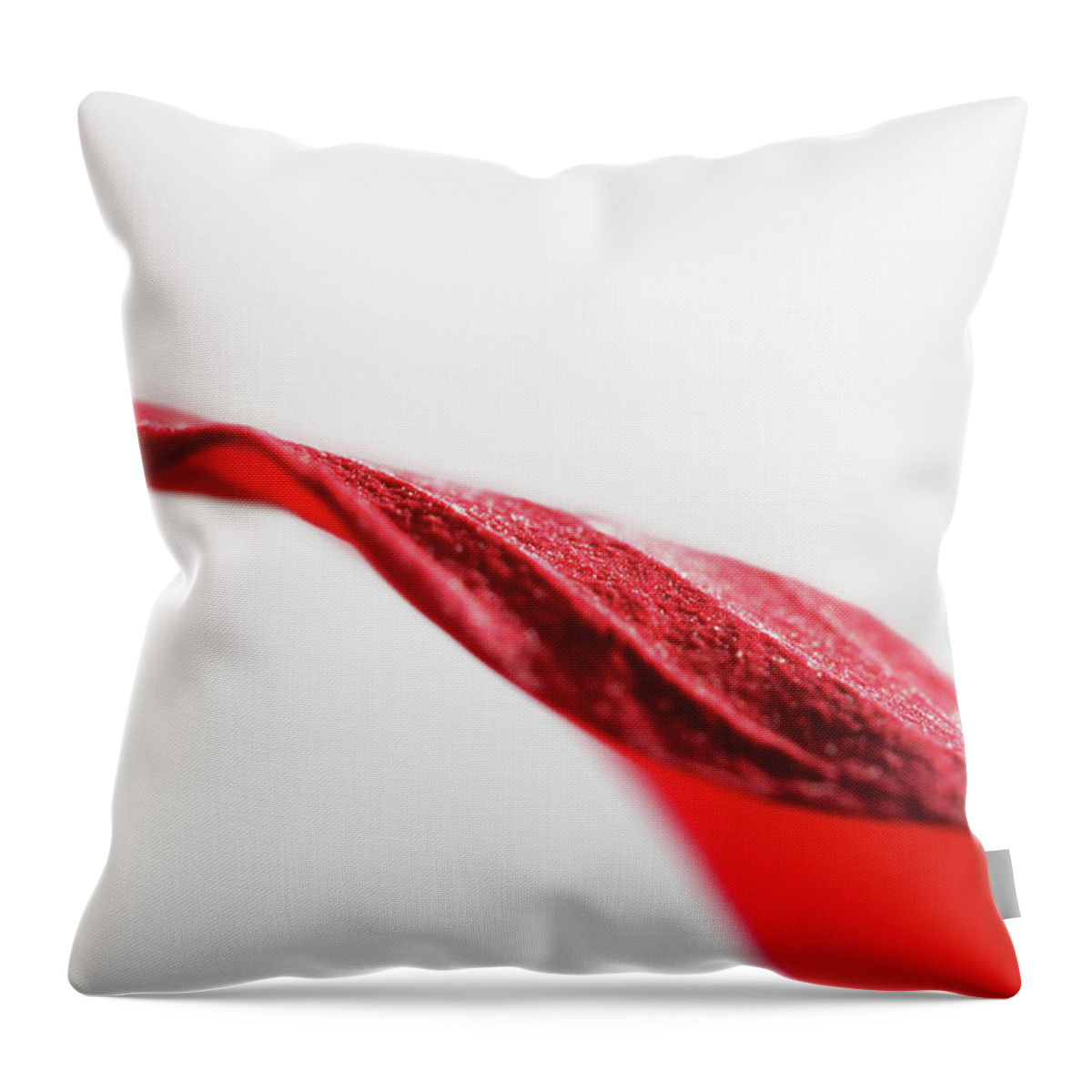 Curve Throw Pillow featuring the photograph Red Leaf Close Up by Kelly Bowden