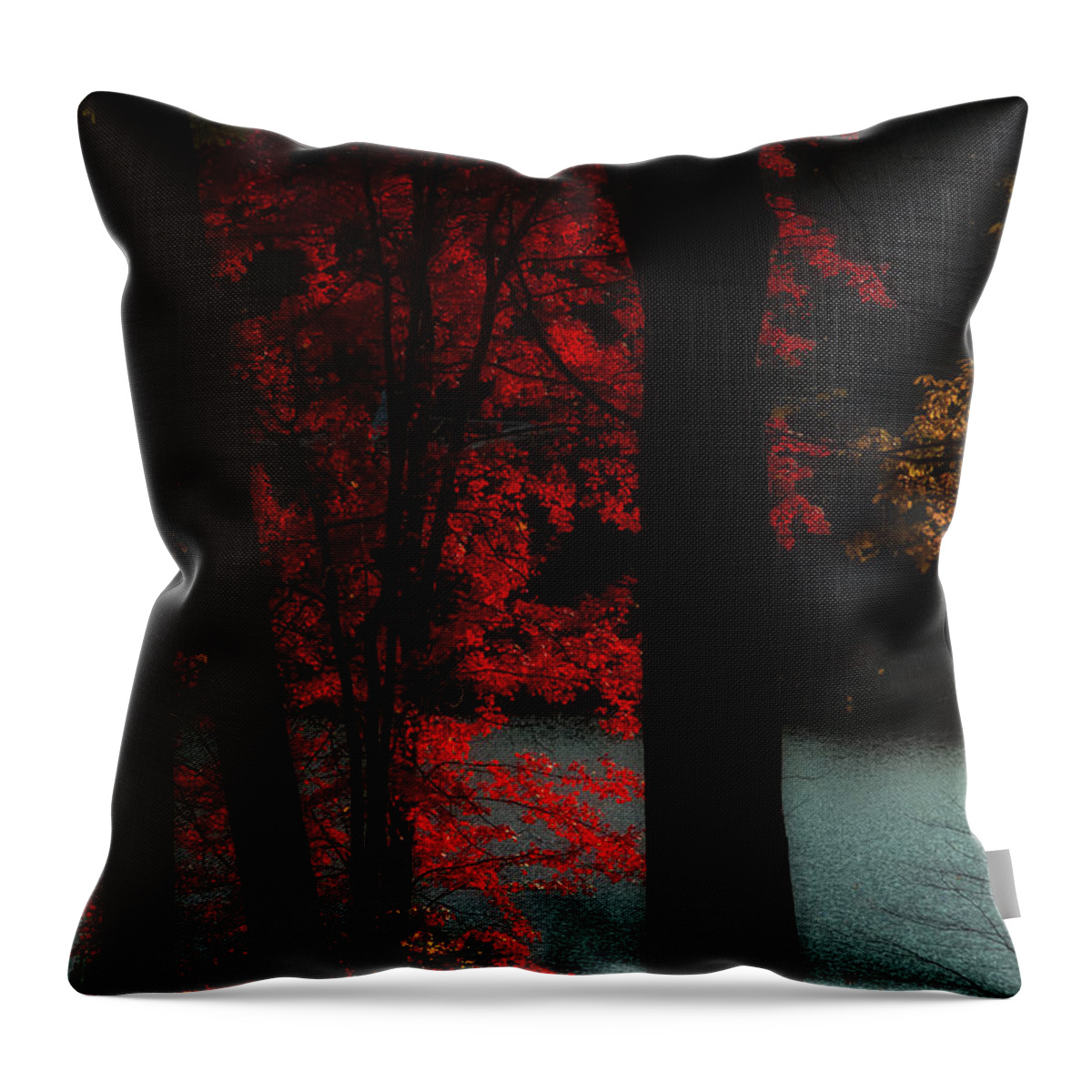 Autumn Throw Pillow featuring the photograph Red Leaf Lake by Joseph Hedaya