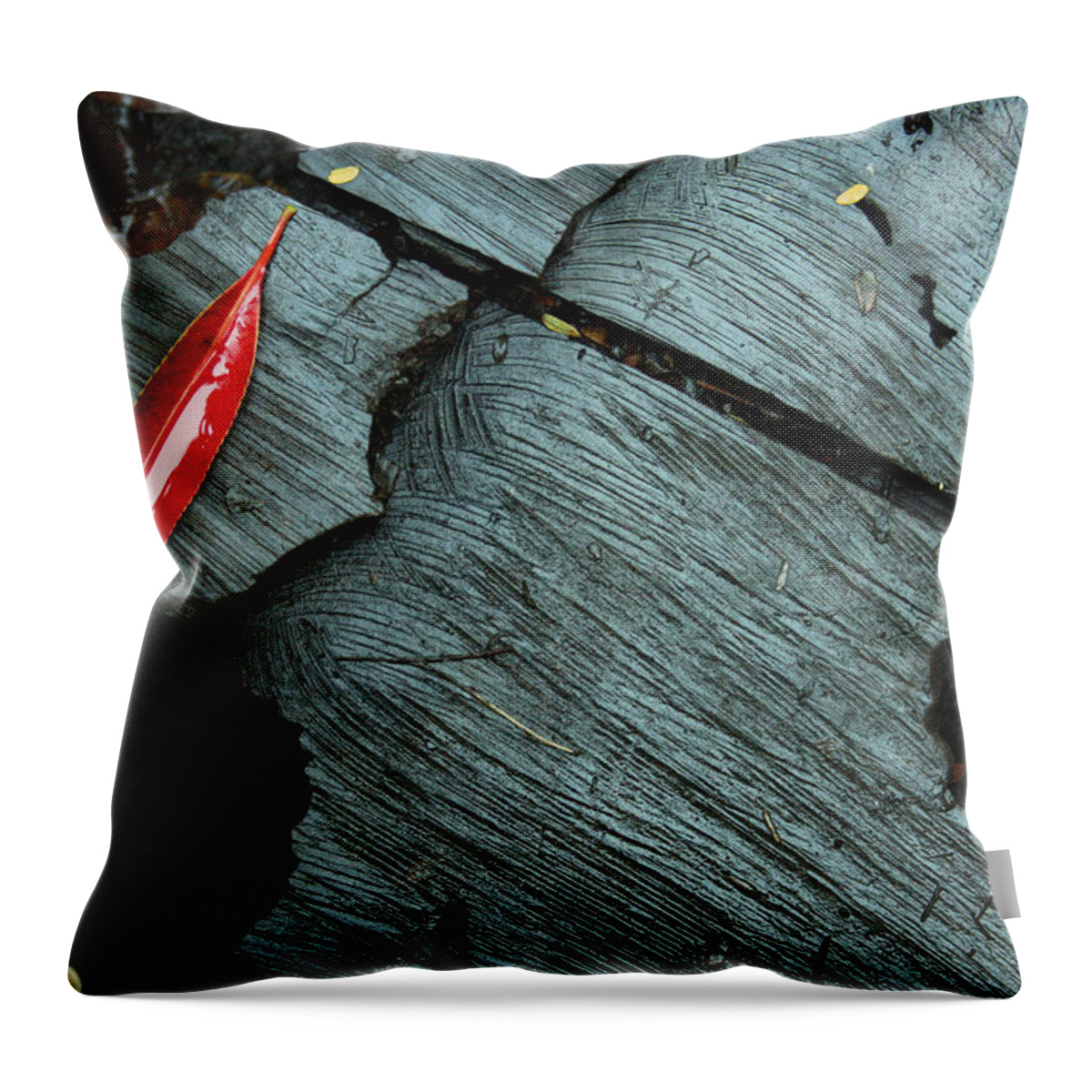 Fall Colors Throw Pillow featuring the photograph Red Leaf on Cut Wood by Jennifer Bright Burr