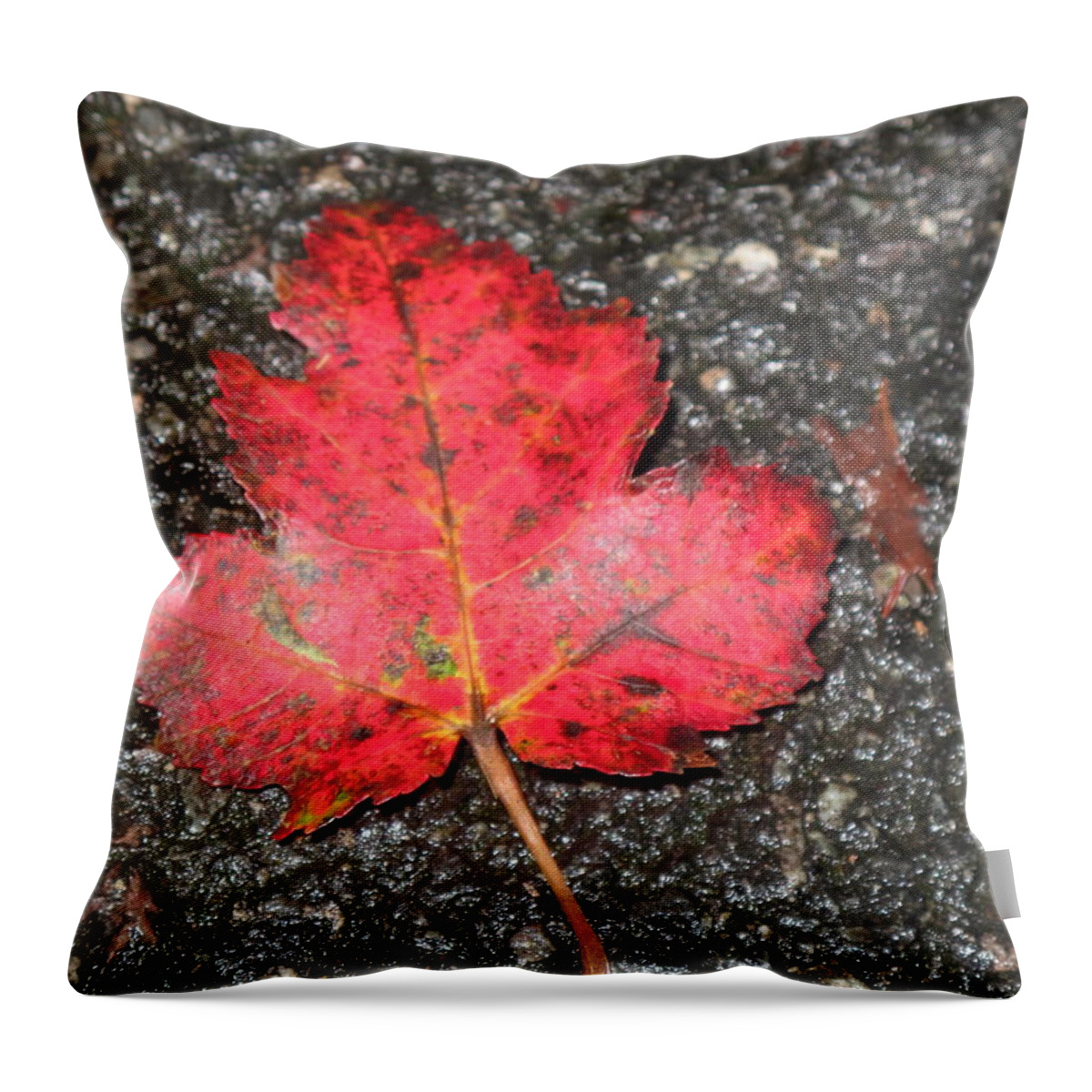 Leaves Throw Pillow featuring the photograph Red Leaf on Pavement by Barbara McDevitt