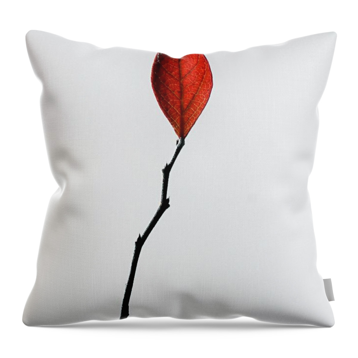 One Throw Pillow featuring the photograph Red Leaf by Sharon Woerner