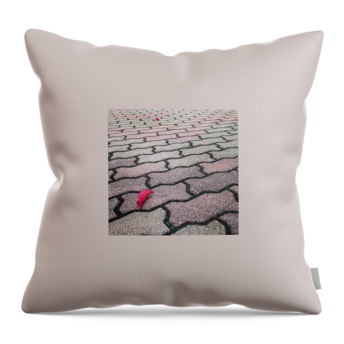 Leaves Throw Pillow featuring the photograph Red Leaves by Alison Photography