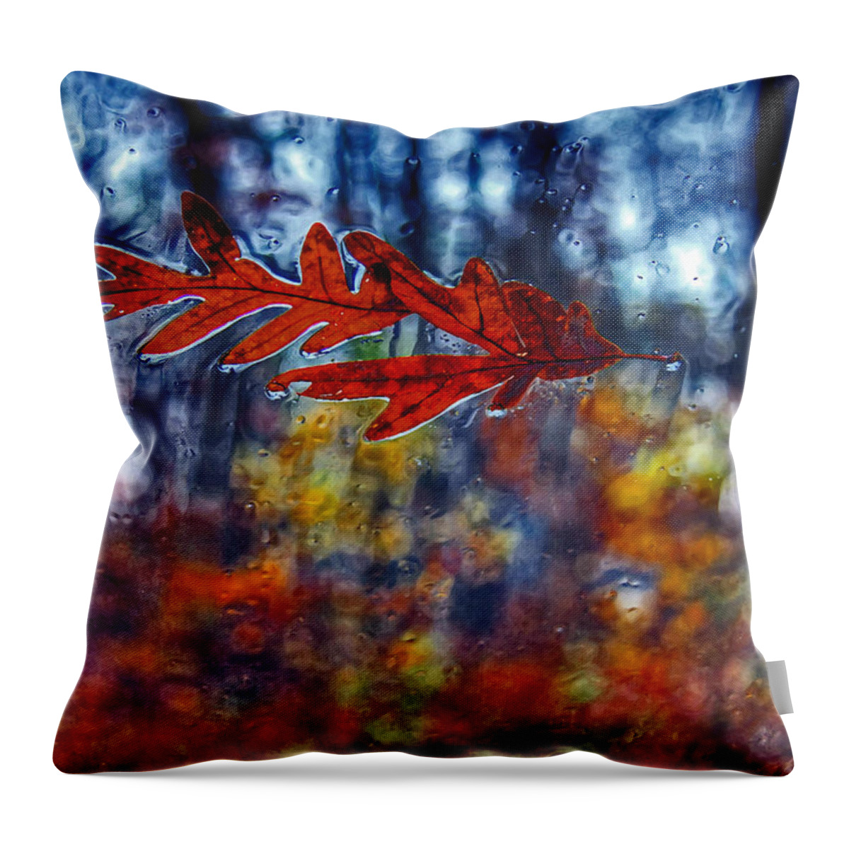 Abstract Throw Pillow featuring the photograph red leaves on windshield Dry Brush by Andy Lawless