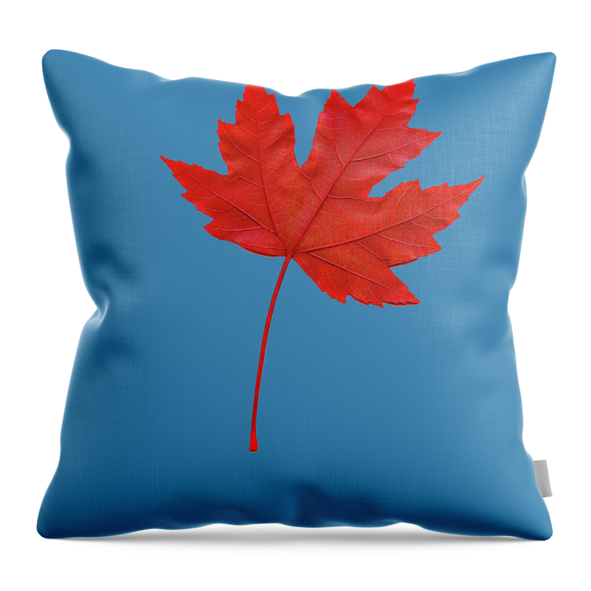 Single Object Throw Pillow featuring the photograph Red Maple Leaf by Russell Illig