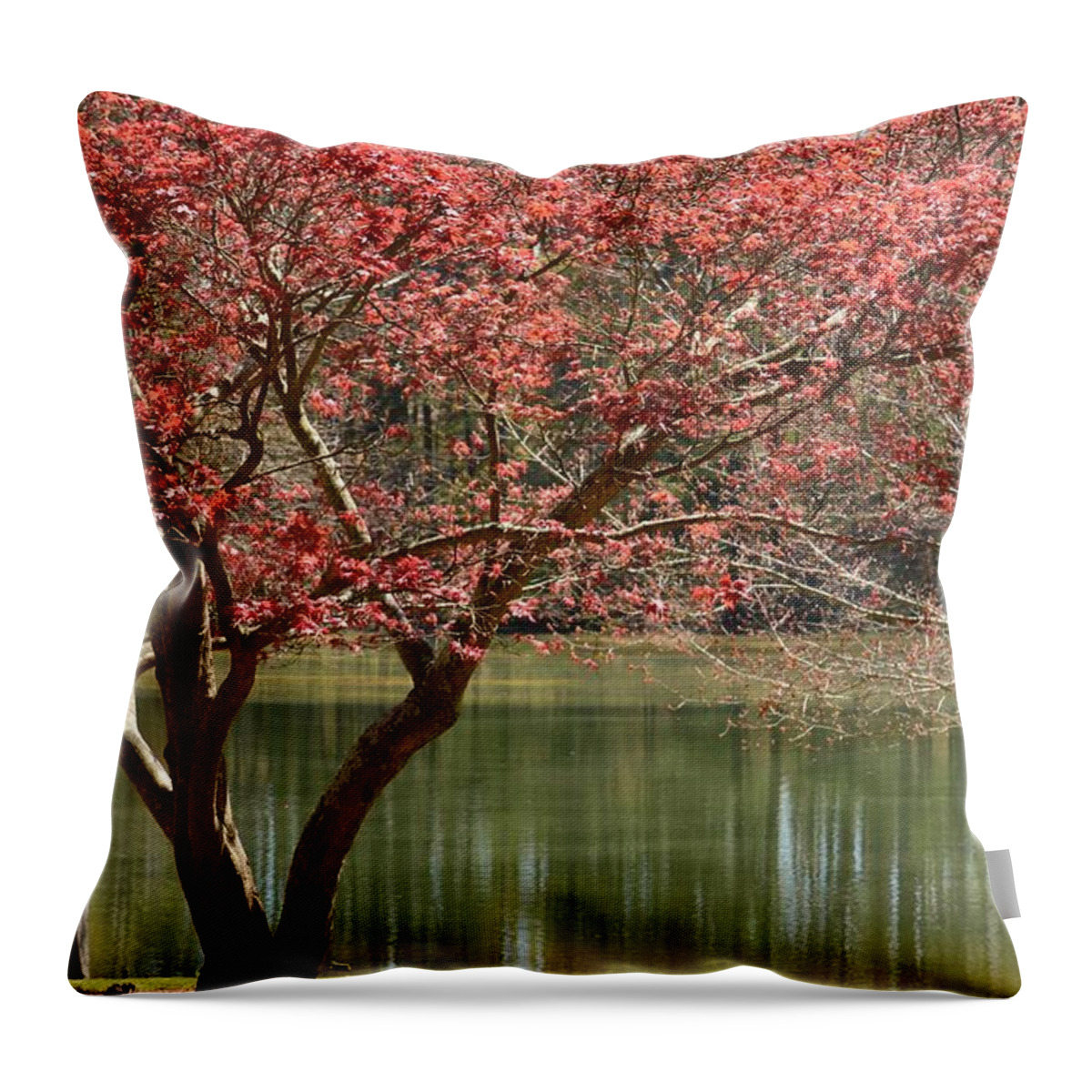 Red Maple Throw Pillow featuring the photograph Red Maple by Maria Urso