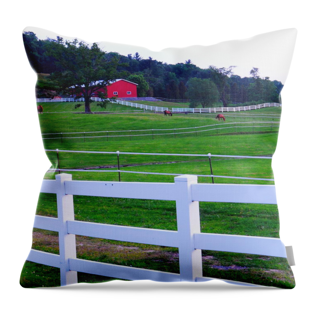 Horses Grazing On A Farm Throw Pillow featuring the photograph Red on the hill by Steve Godleski
