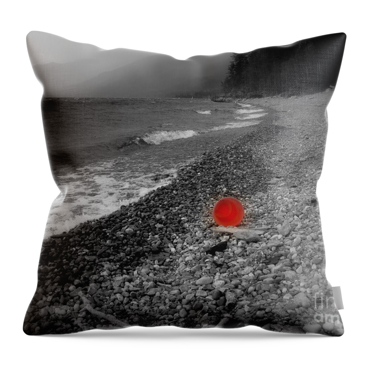 Red Throw Pillow featuring the photograph Red Pail by Leone Lund