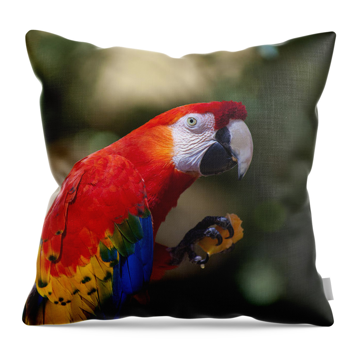 Parrot Throw Pillow featuring the photograph Red parrot by Garry Gay