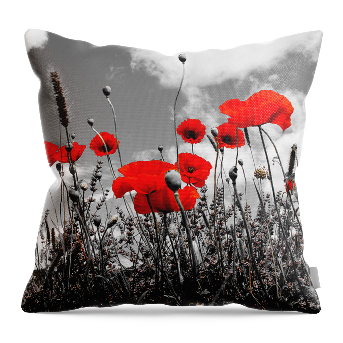 Red Poppies On White And Black Background Throw Pillow featuring the photograph Red Poppies on black and white background by Dany Lison
