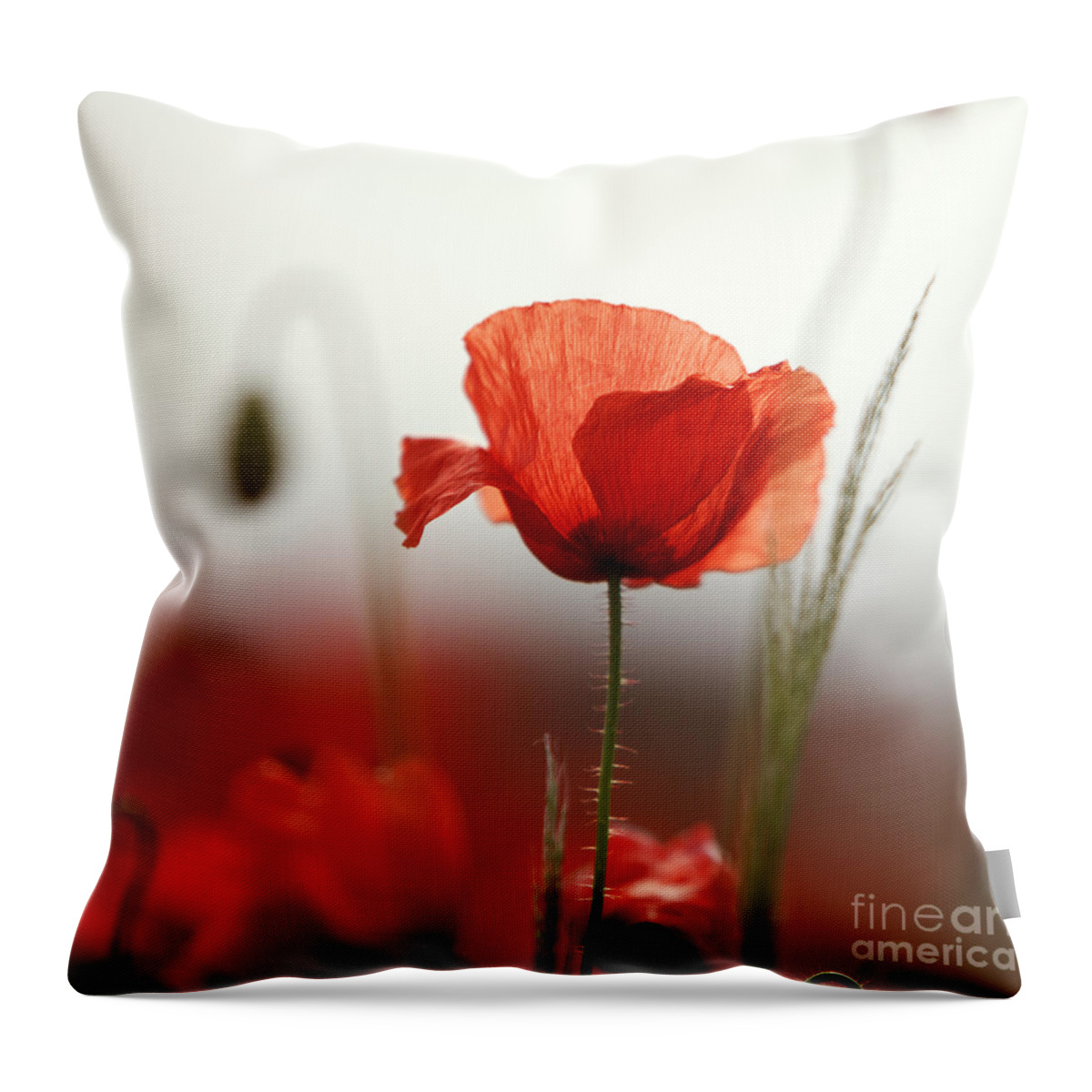 Poppy Throw Pillow featuring the photograph Red Poppy Flowers by Nailia Schwarz