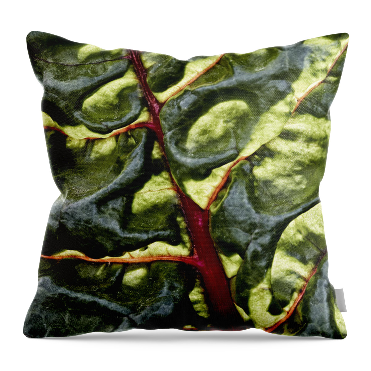 Red Throw Pillow featuring the photograph Red River Through Green Hills by Robert Woodward