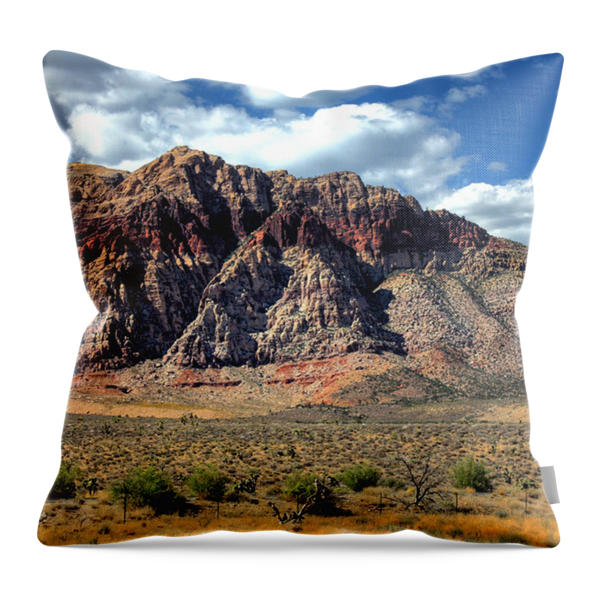 Rock Throw Pillow featuring the photograph Red Rock by Andrea Platt