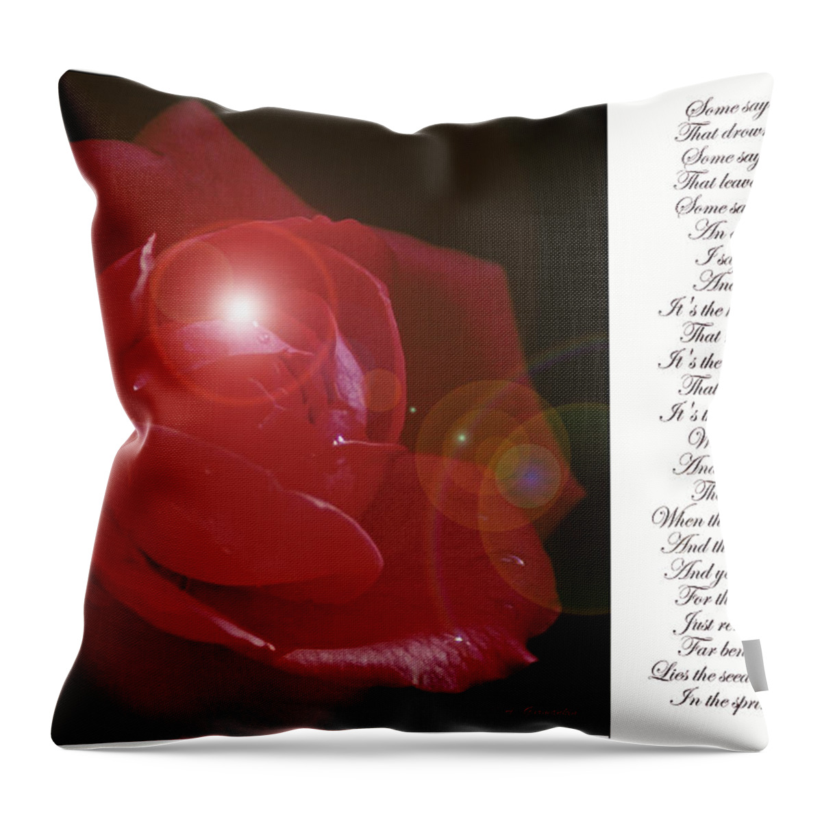 Red Rose Throw Pillow featuring the photograph Red Rose by A Macarthur Gurmankin