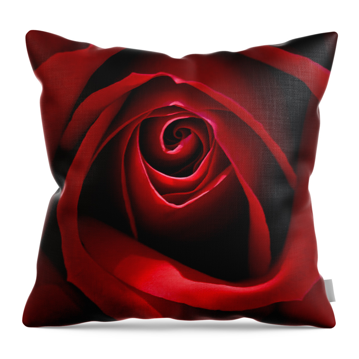 Flowers Throw Pillow featuring the photograph Red Rose by Windy Osborn