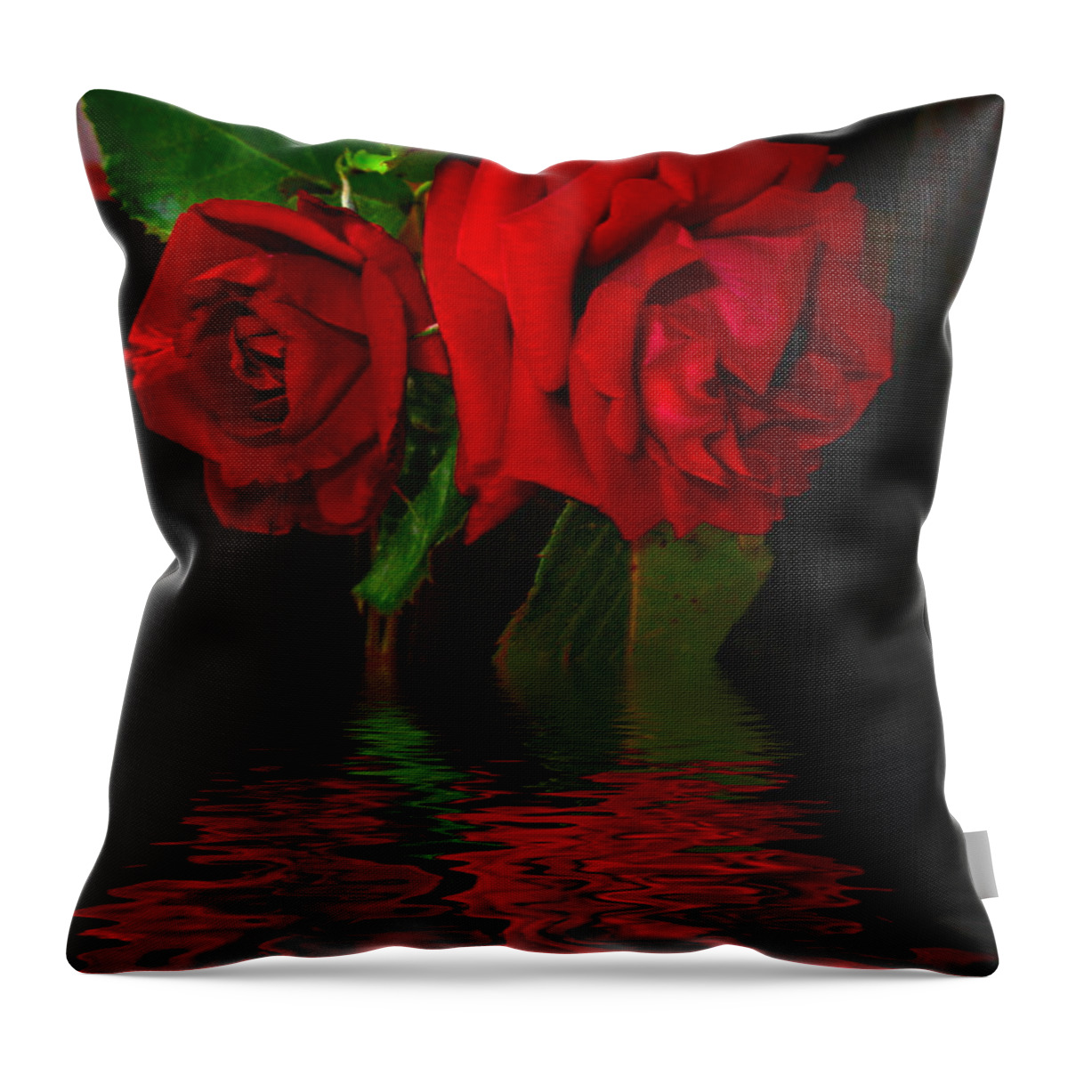 Red Throw Pillow featuring the photograph Red Roses Reflected by Joyce Dickens