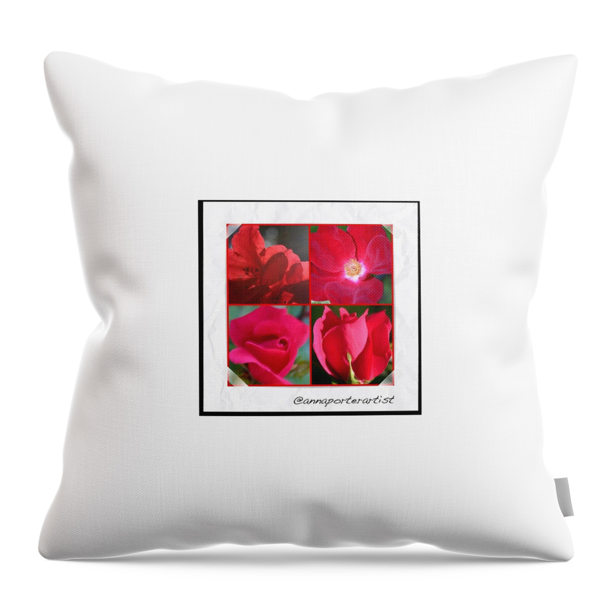 Ig_exquisite Throw Pillow featuring the photograph Red Squares For The #gfd03_squares by Anna Porter