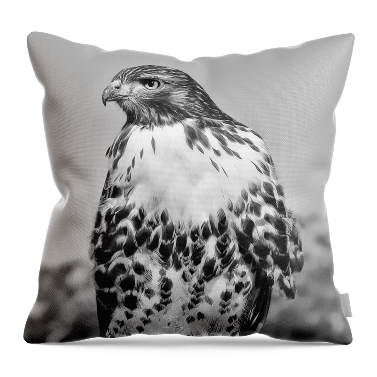 Hawk Throw Pillow featuring the photograph Red Tail Hawk Youth Black and White by Jennie Marie Schell