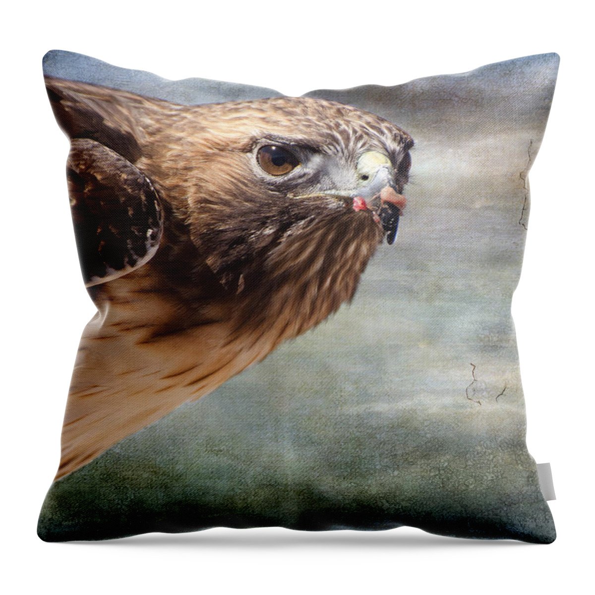Hawk Throw Pillow featuring the photograph Red Tailed Hawk by Barbara Manis