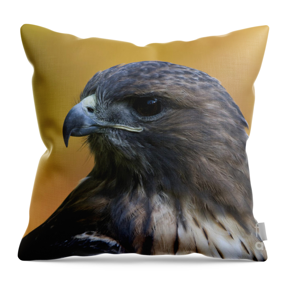 Red Tailed Hawk Throw Pillow featuring the photograph Red Tailed Hawk by John Greco