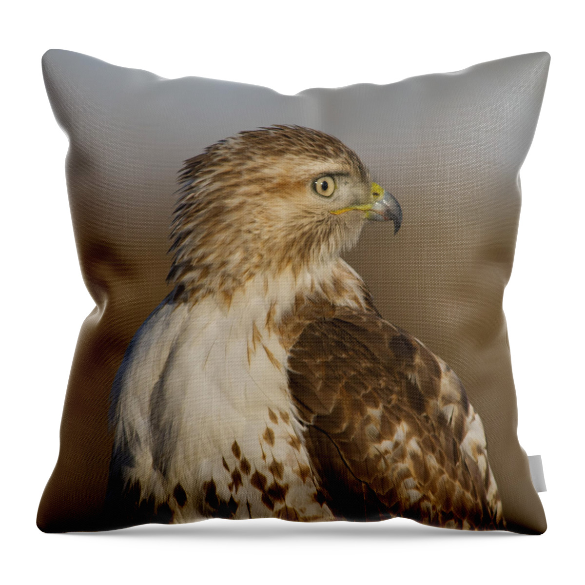 Beak Throw Pillow featuring the photograph Red-tailed Hawk portrait by Larry Bohlin