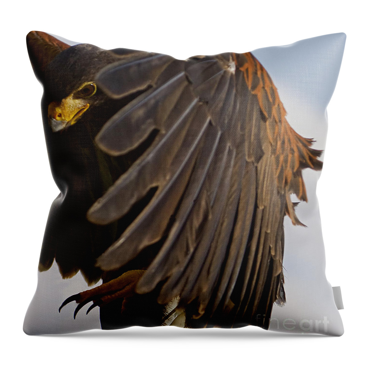 Accipitridae Buteo Jamaicensis Throw Pillow featuring the photograph Red-Tailed Tallons by J L Woody Wooden