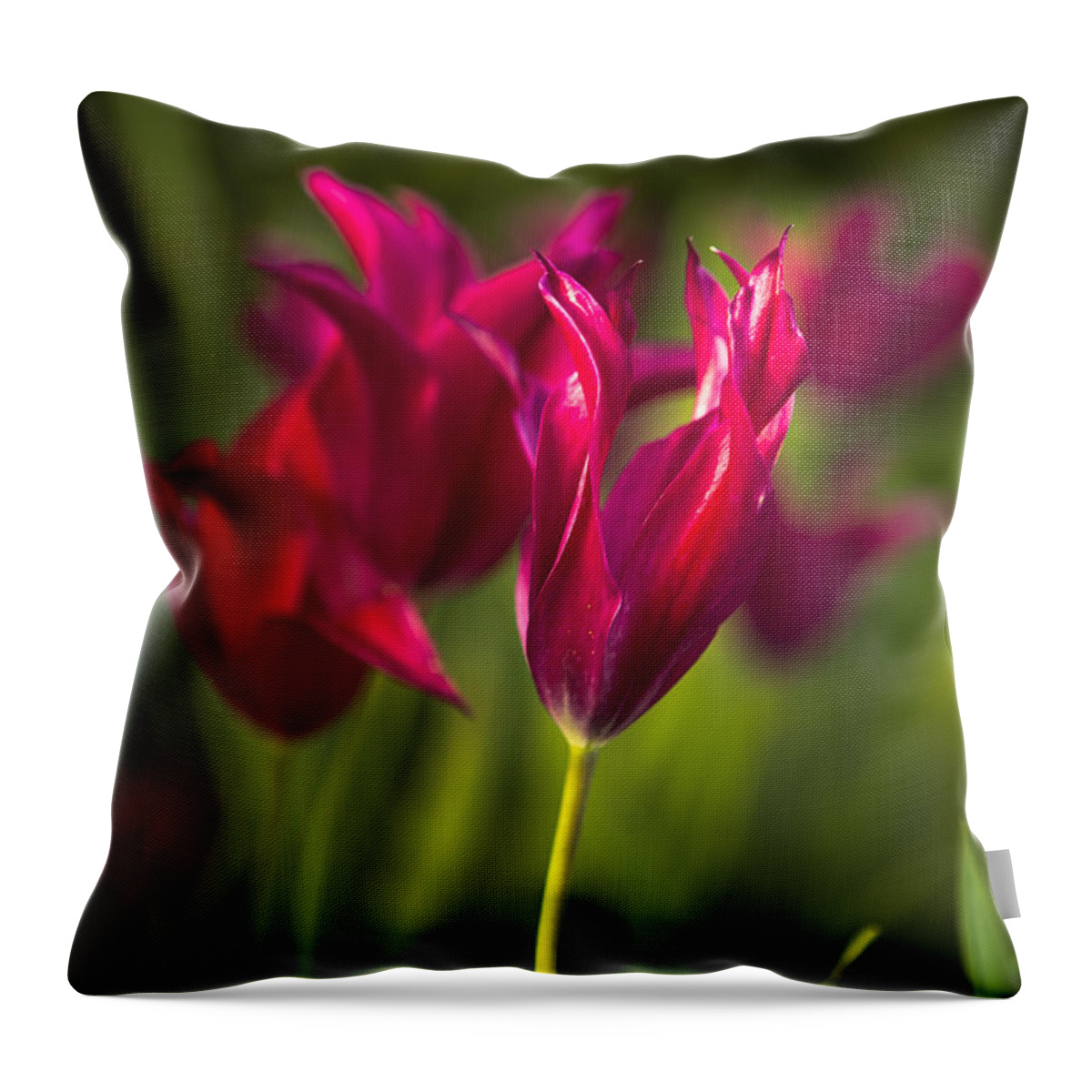 Tulip Throw Pillow featuring the photograph Red Tulips by Belinda Greb