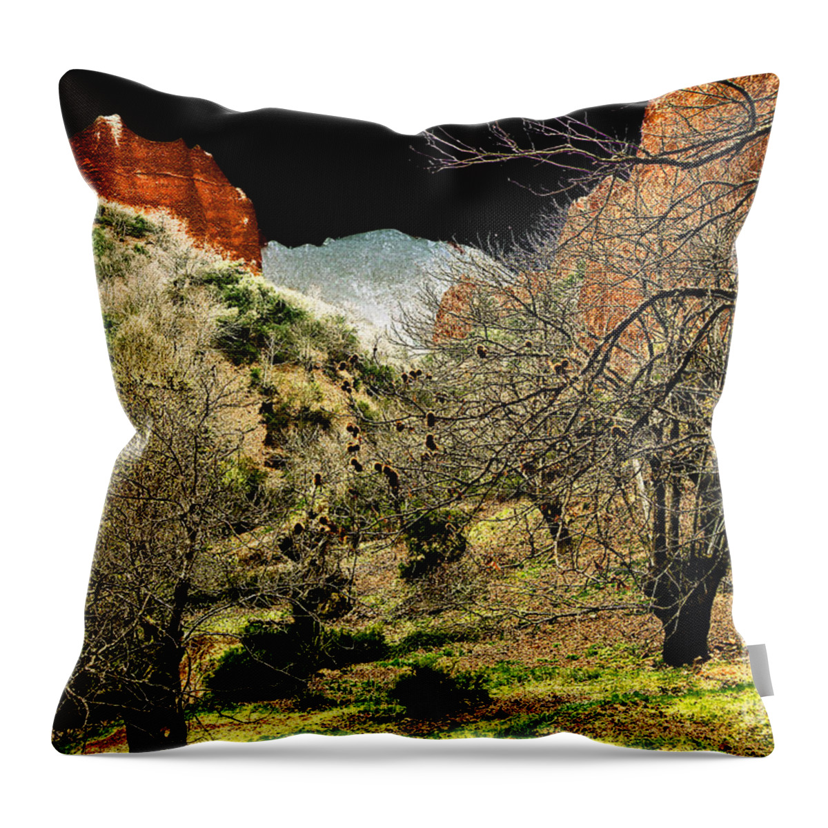 Prott. Red Throw Pillow featuring the digital art Red Valley by Rudi Prott
