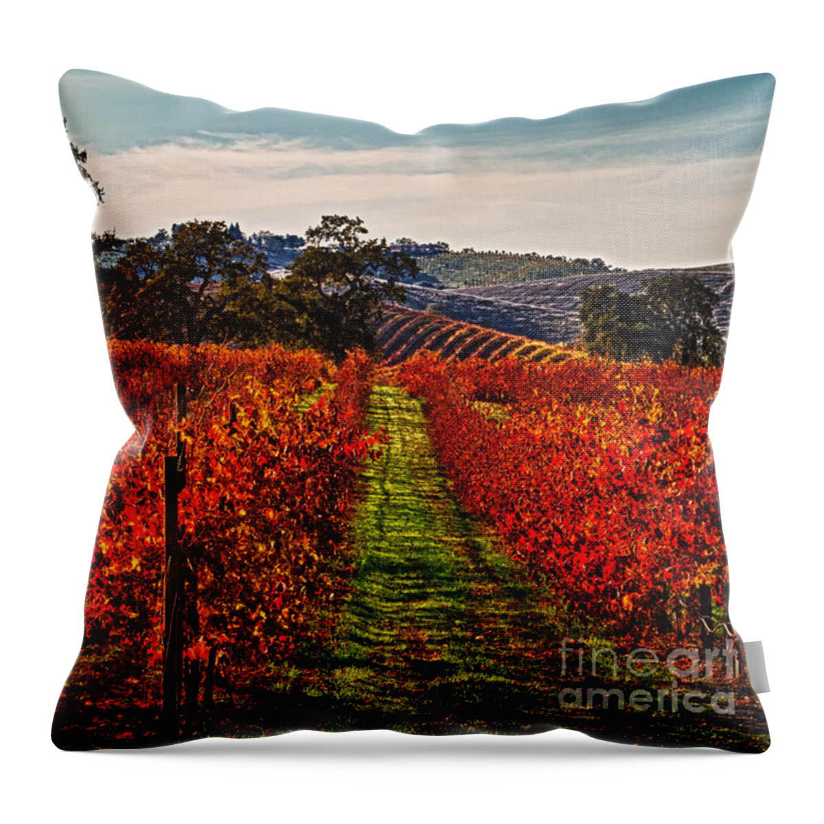 Grapes Throw Pillow featuring the photograph Red Vines by Alice Cahill