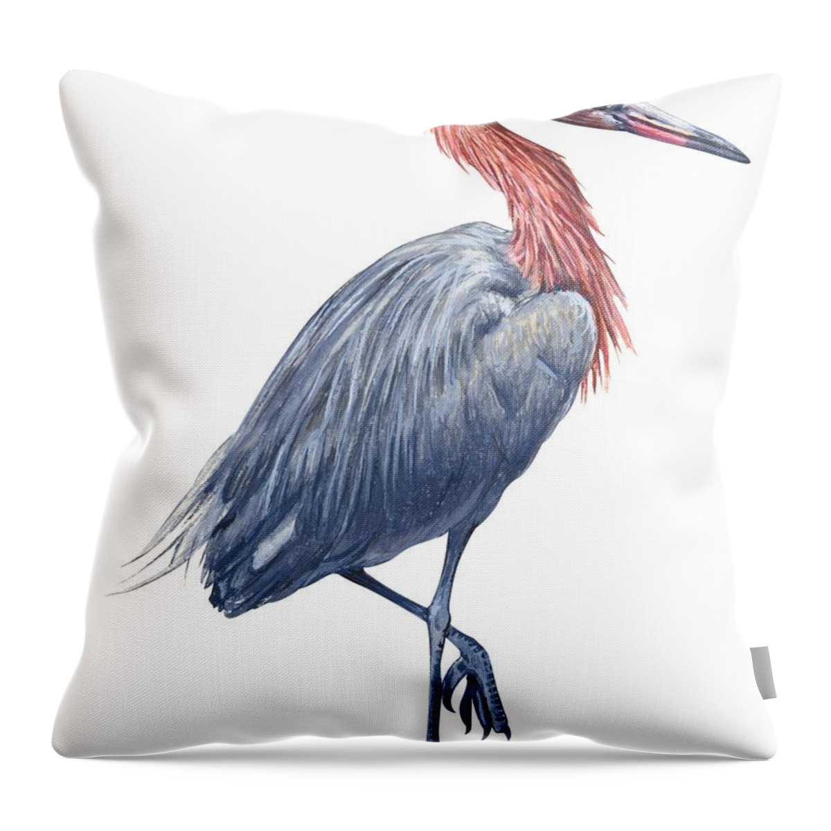 No People; Vertical; Side View; Full Length; White Background; One Animal; Wildlife; Close Up; Zoology; Illustration And Painting; Bird; Beak; Feather; Standing On One Leg; Reddish Egret; Egretta Rufescens Throw Pillow featuring the drawing Reddish egret by Anonymous
