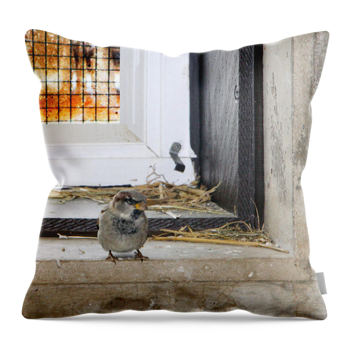 Redemption Throw Pillow featuring the photograph Redemption by Munir Alawi