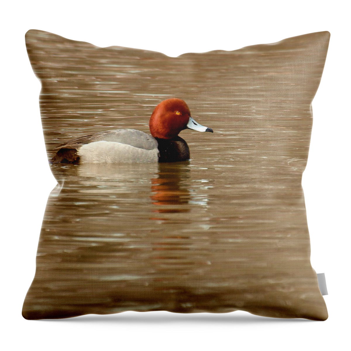 (aythya Americana) Throw Pillow featuring the photograph Redhead Duck by Thomas Young