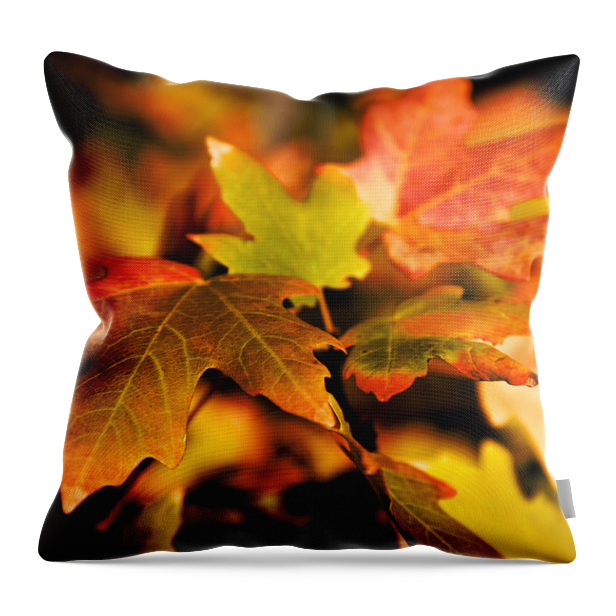 Red Throw Pillow featuring the photograph Reds by Chad Dutson