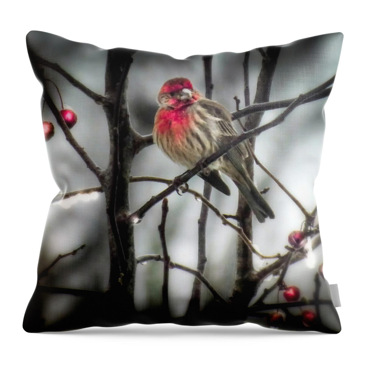 Red Birds Throw Pillow featuring the photograph REDS of WINTER by Karen Wiles