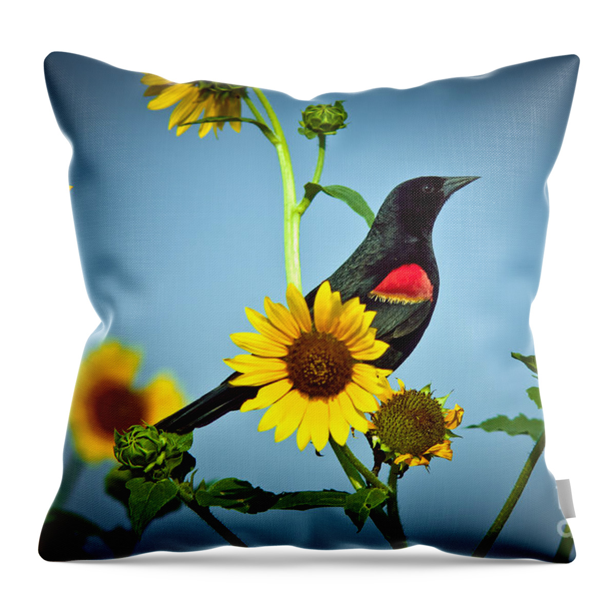 Animal Throw Pillow featuring the photograph Redwing In Sunflowers by Robert Frederick