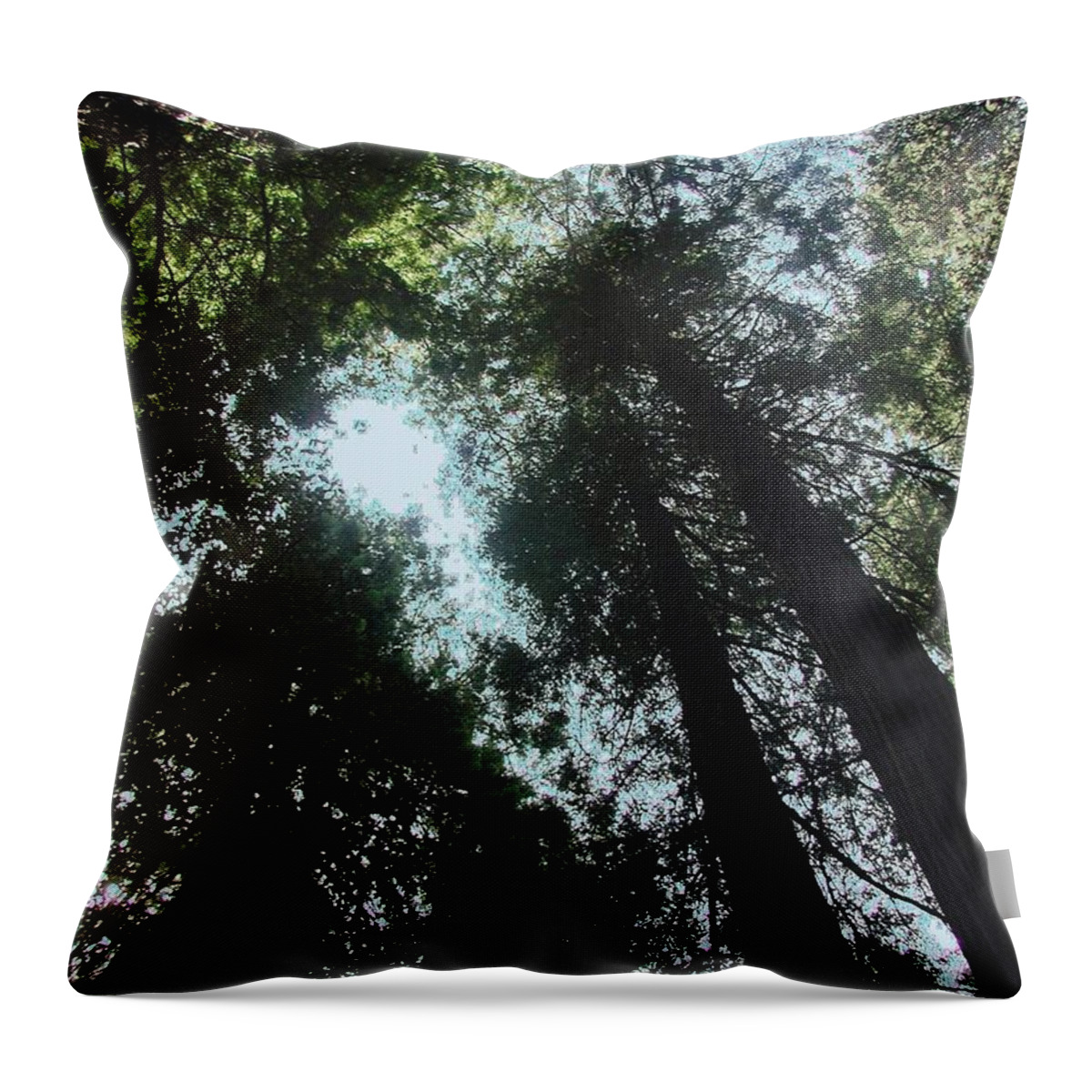 California Throw Pillow featuring the photograph Redwoods by Steve Ondrus