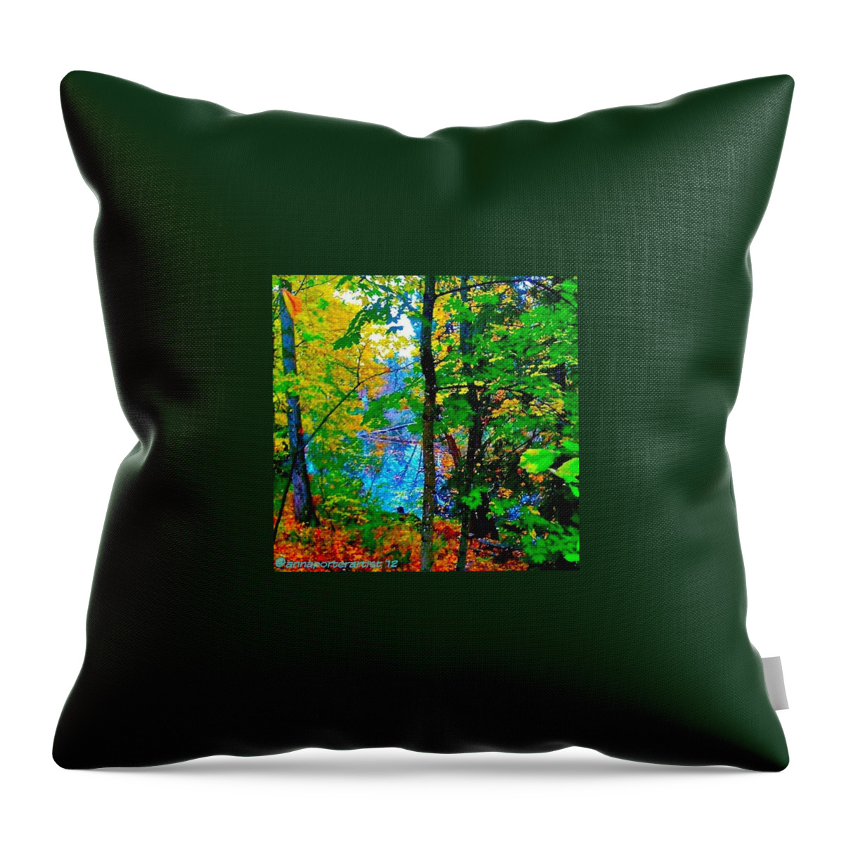 Fall Color Throw Pillow featuring the photograph Reed College Canyon Reflections of Autumn by Anna Porter