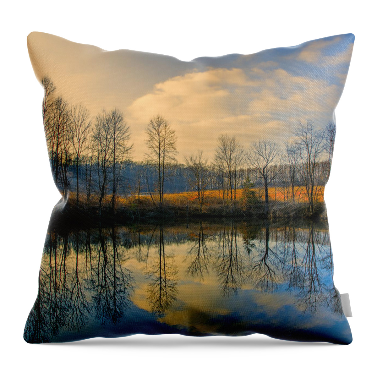Reflection Throw Pillow featuring the photograph Reflect by John Rivera