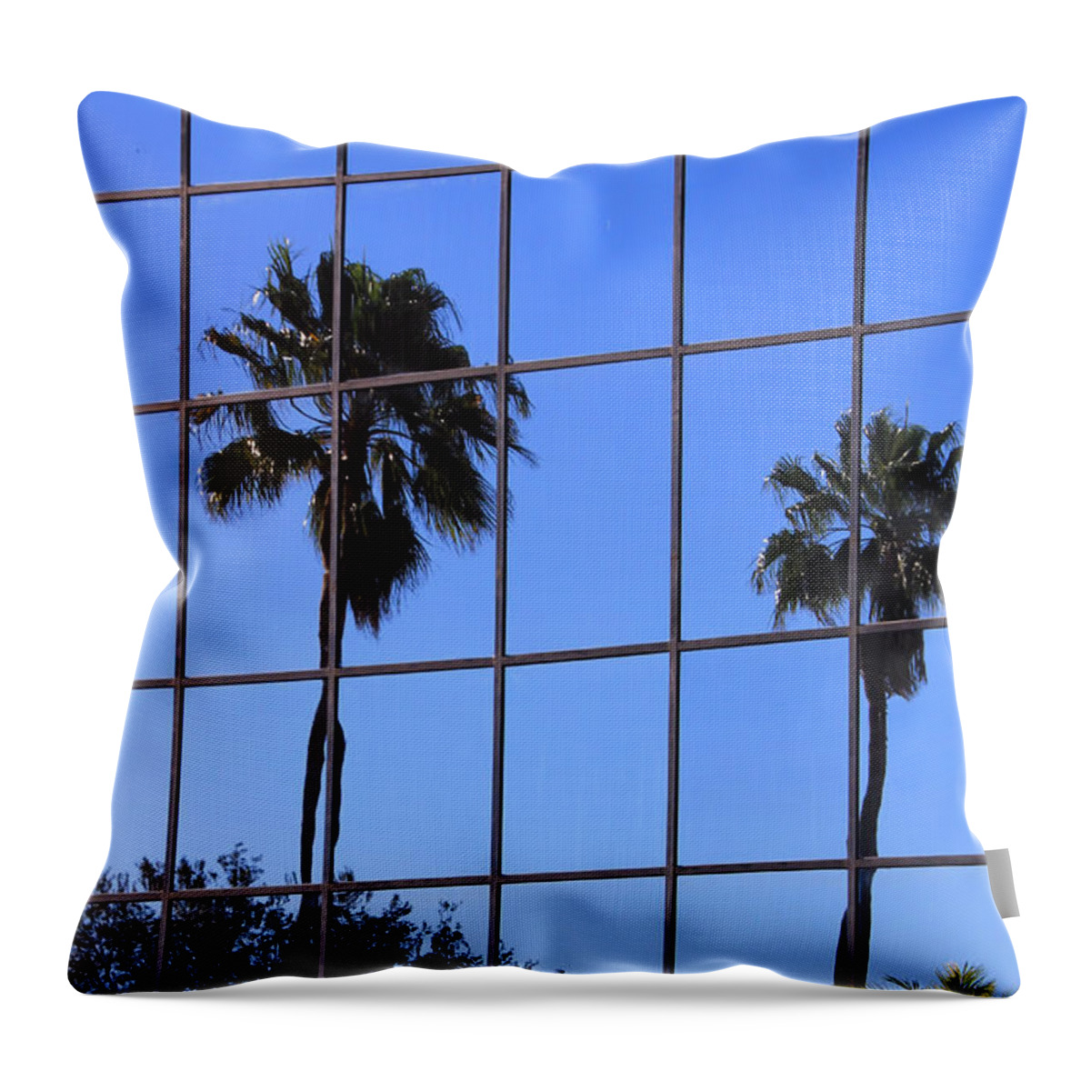 Window Throw Pillow featuring the photograph Reflected Window by Rosalie Scanlon