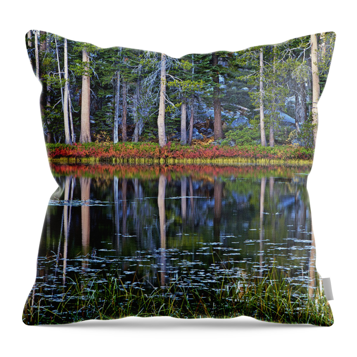 Lake Throw Pillow featuring the photograph Reflecting nature by Duncan Selby