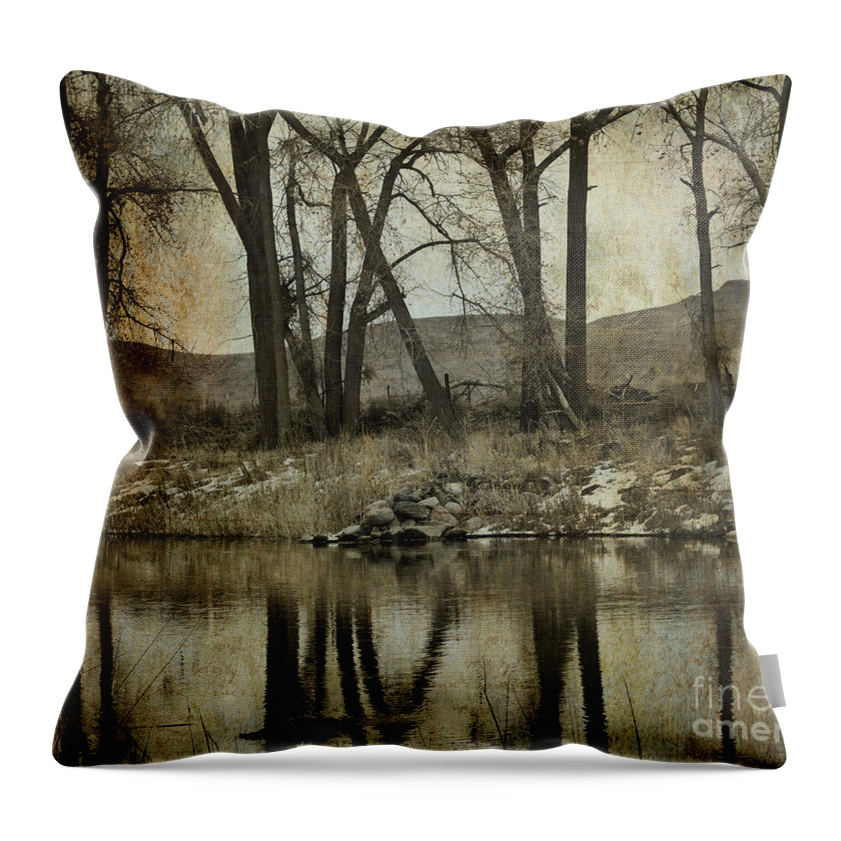 Water Throw Pillow featuring the photograph Reflections on the Carson River by Dianne Phelps