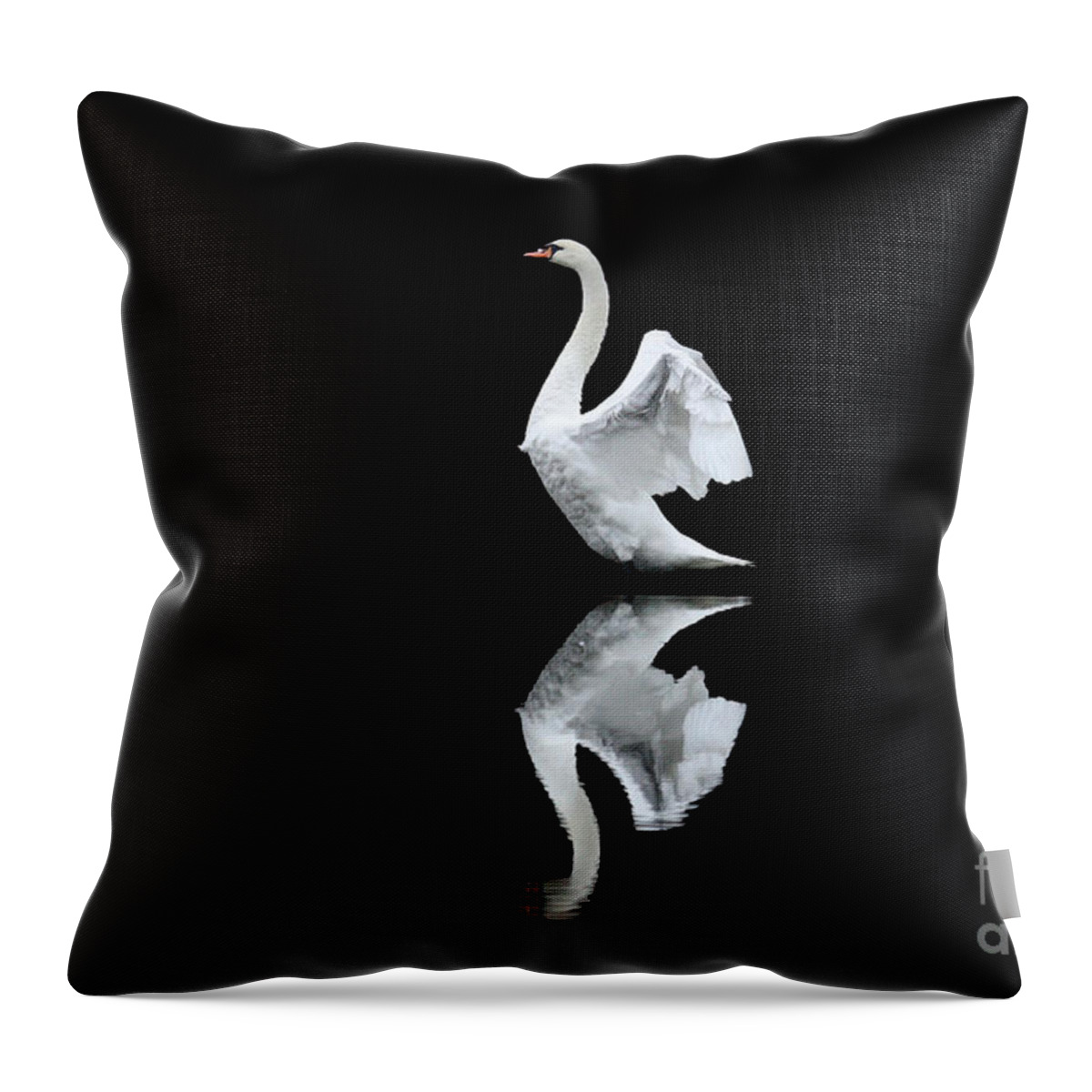 Swan Throw Pillow featuring the photograph Reflection 2 by Jayne Carney