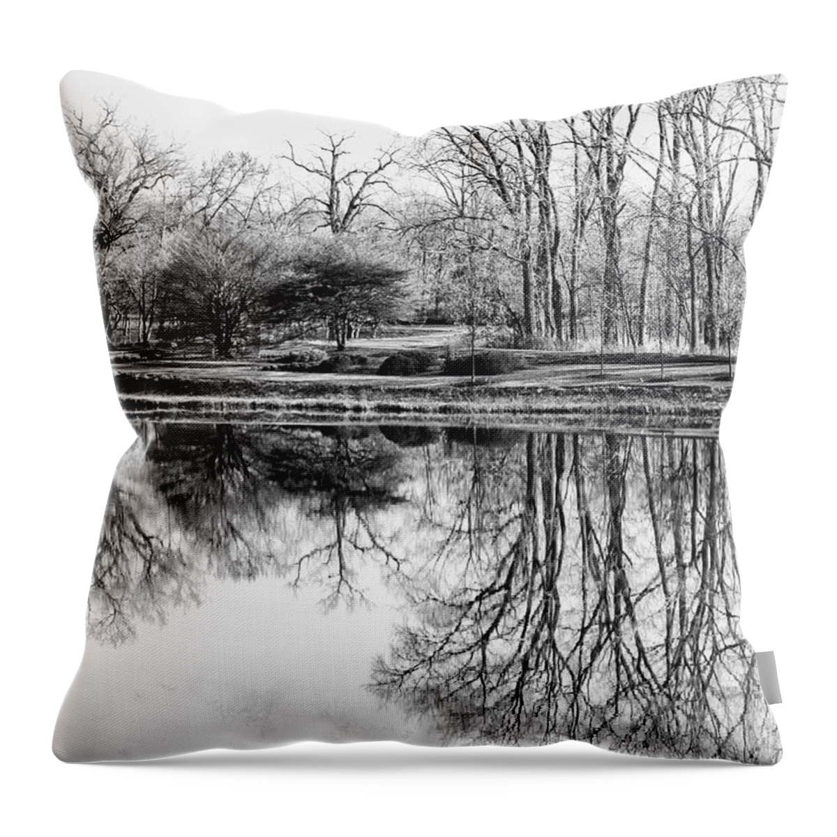 Landscape Throw Pillow featuring the photograph Reflection in Black and White by Julie Palencia