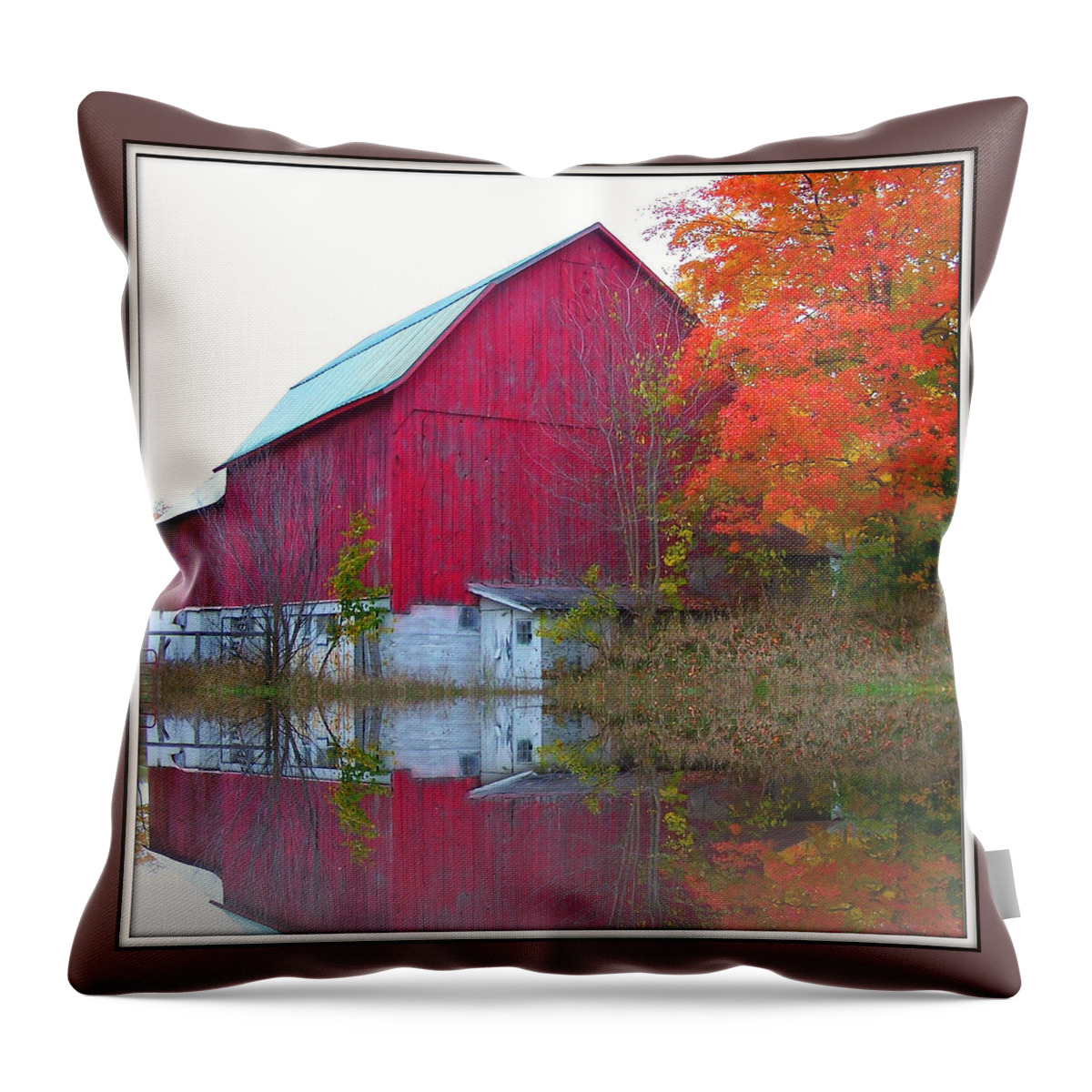 Barn Throw Pillow featuring the photograph Reflection by Kathleen Luther