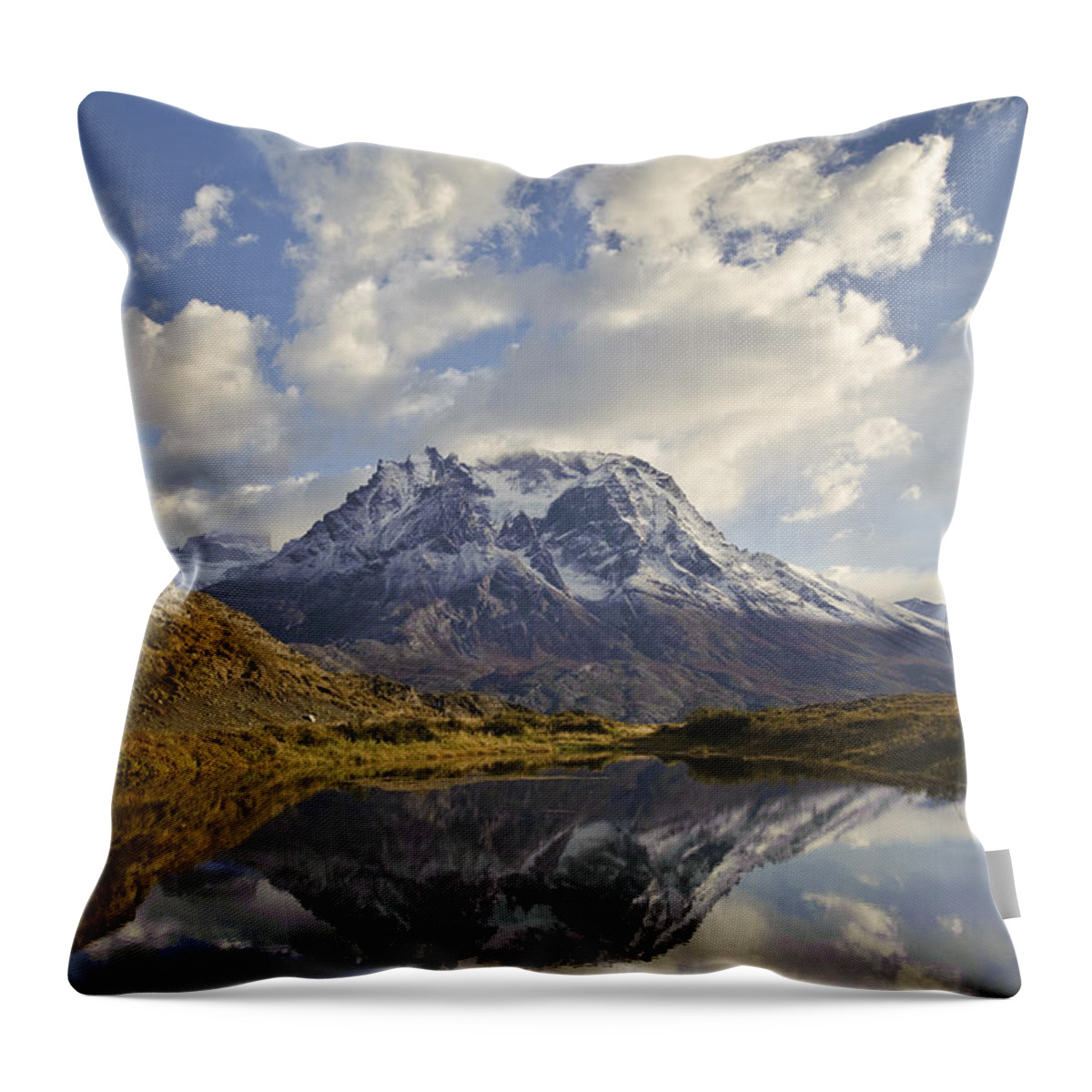 Chile Throw Pillow featuring the photograph Reflection Of Mt Almirante Nieto, Chile by John Shaw