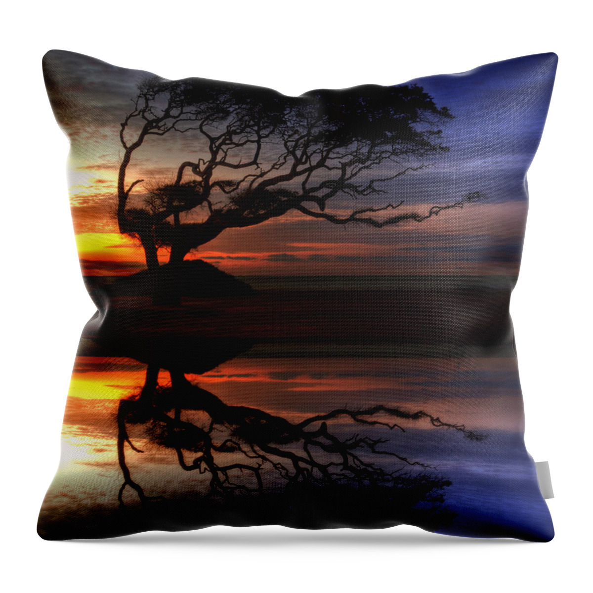 Reflection Of Troubled Times Throw Pillow featuring the photograph Reflection of Troubled Times by Greg and Chrystal Mimbs
