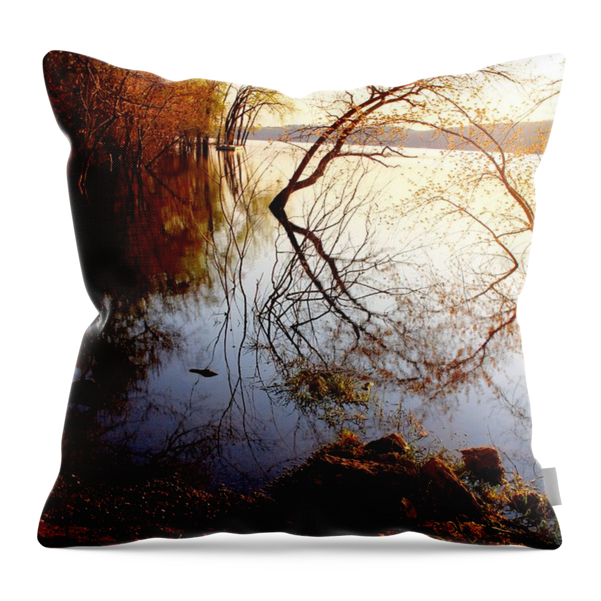 Landscape Throw Pillow featuring the photograph Reflections at Dawn by Hans Brakob