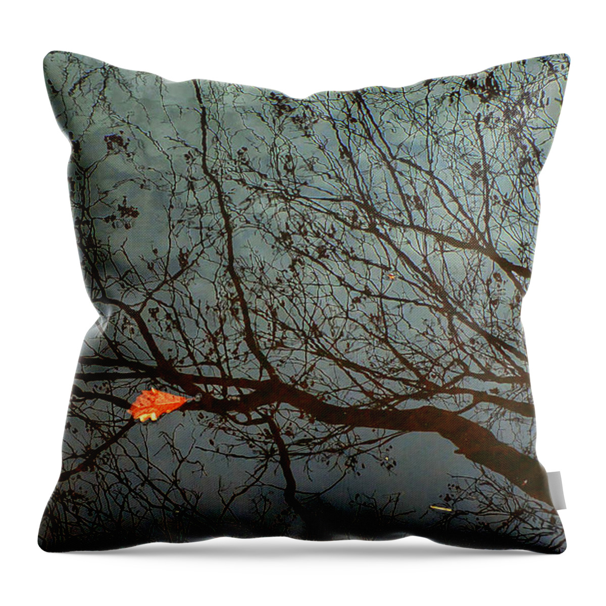 Reflections Throw Pillow featuring the photograph Reflections of a Leaf by Kathi Isserman