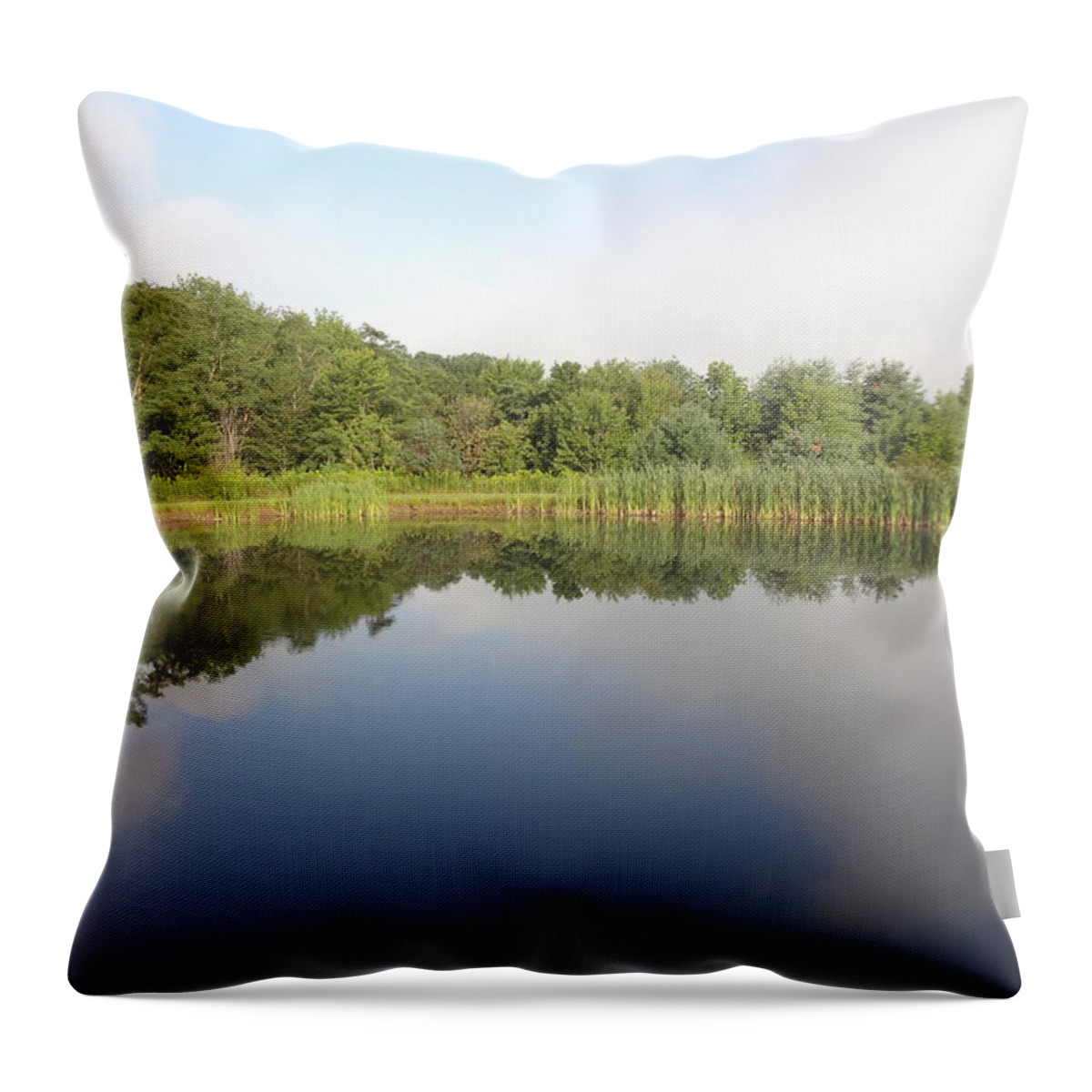 Reflection Throw Pillow featuring the photograph Reflections of a still pond by Michael Porchik